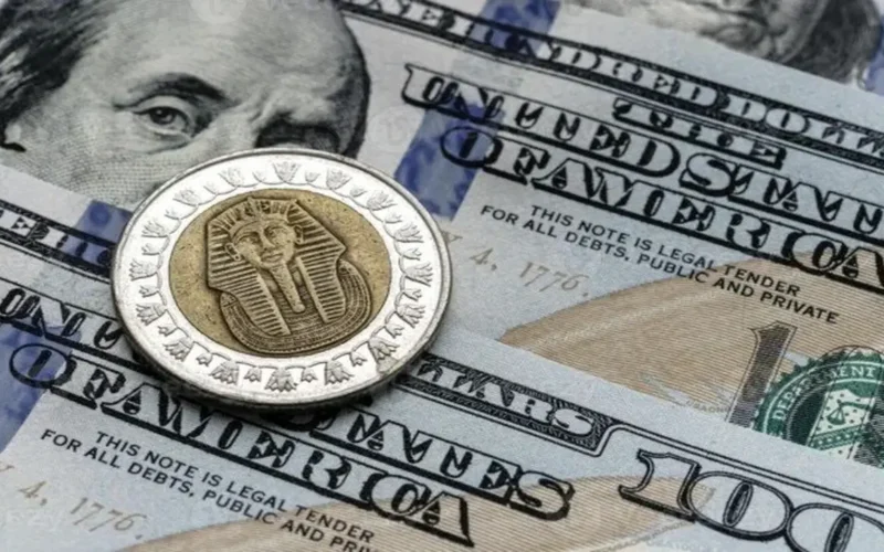 تحديث اليوم سعر الدولار مقابل الجنيه في البنوك ومكاتب الصرافة